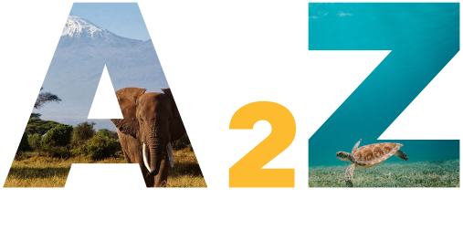 A2Z Tours & Safaris